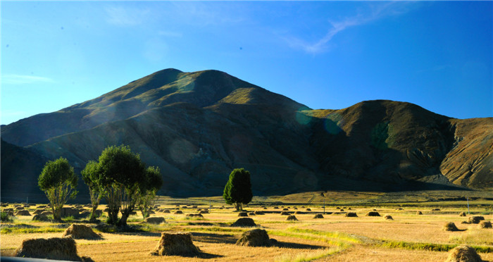 dsc_9554_副本.jpg