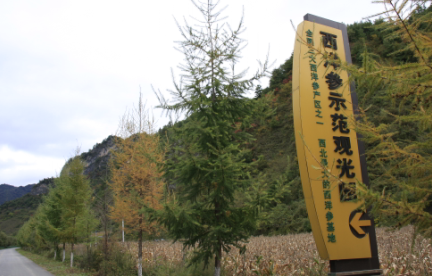 qq图片20151014200736.png