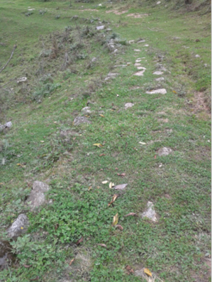 qq图片20151015113501.png