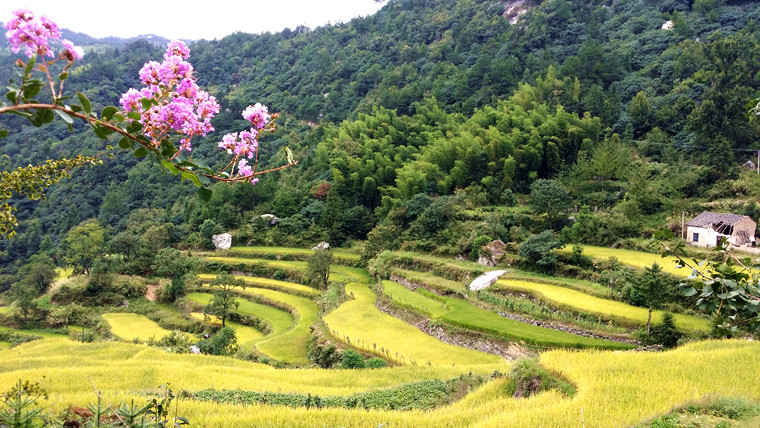 20150913_130025_副本.jpg