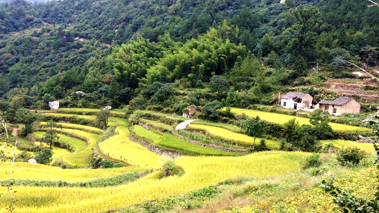 20150913_130135_.jpg