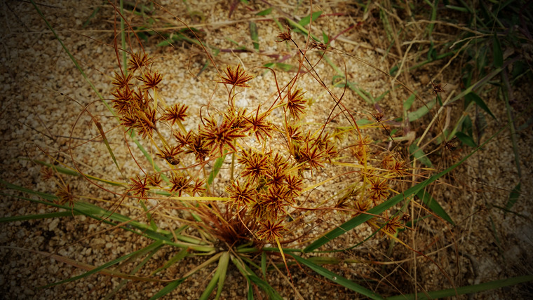 20150913_144132_.jpg