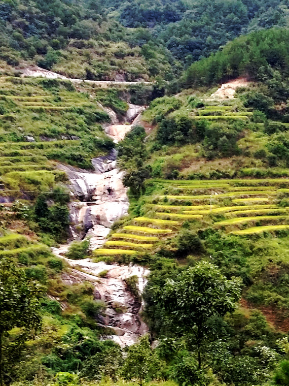 20150913_151417_.jpg