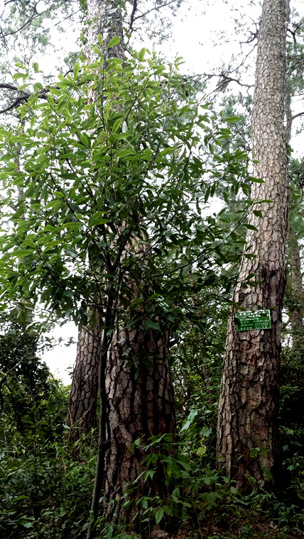 20150913_151718_.jpg