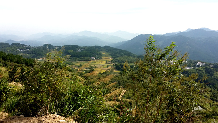 20150913_095631_副本.jpg