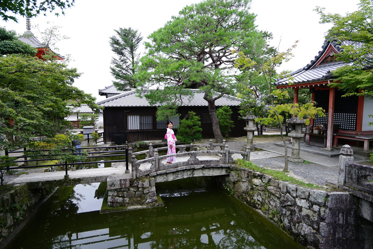 dsc00517.jpg