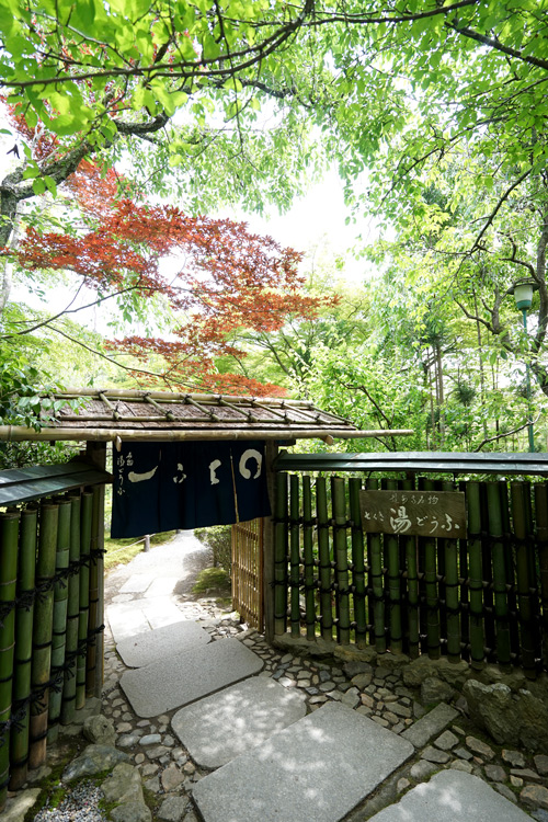 japan-767.jpg