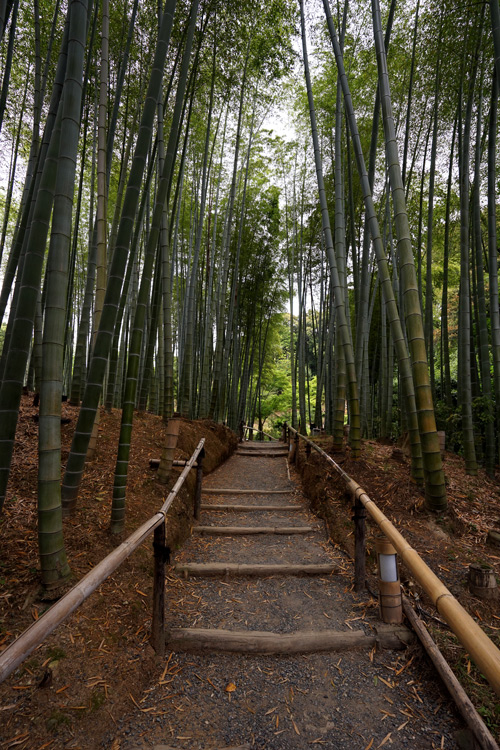 japan-1168.jpg