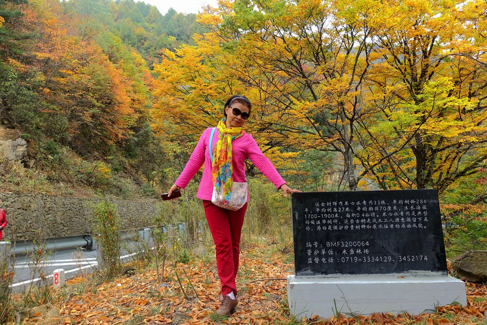 dsc06575.jpg