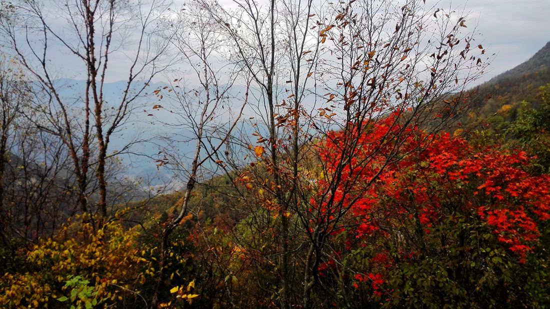 img_20151018_083014.jpg
