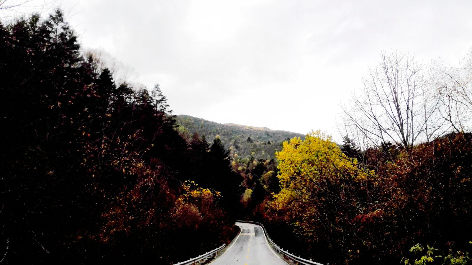 img_20151018_095953.jpg