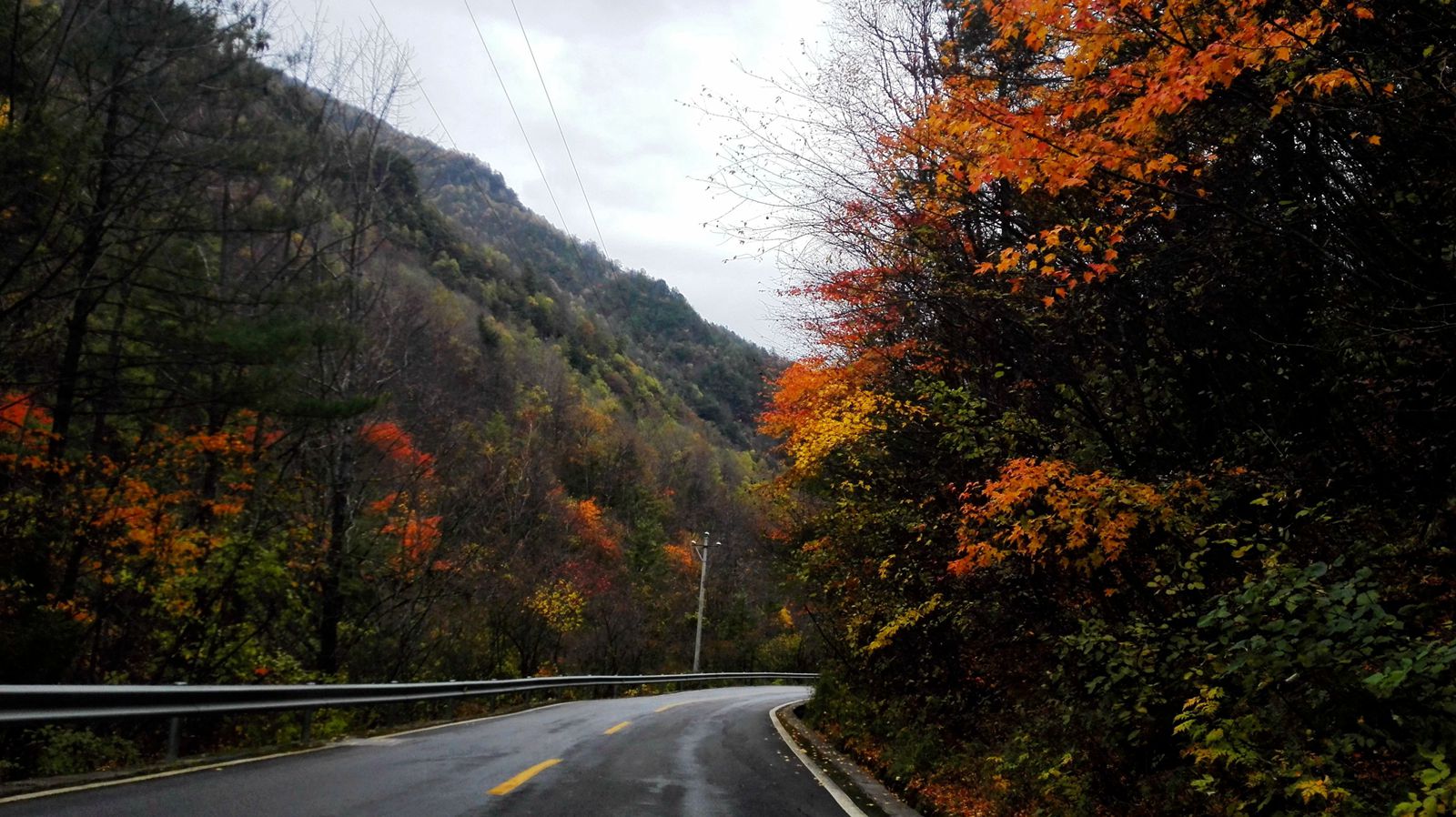 img_20151018_103557.jpg