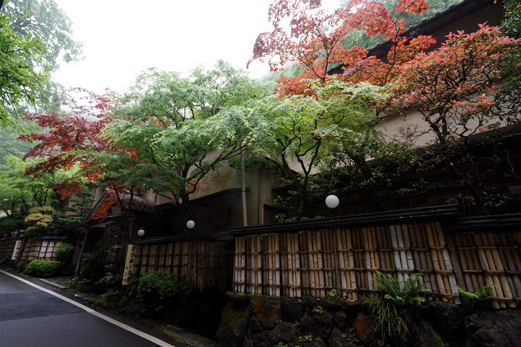 dsc09170.jpg