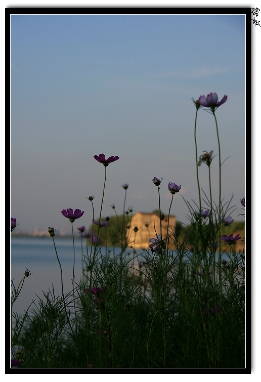 ٺ061.jpg