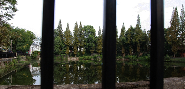 img_9636.jpg