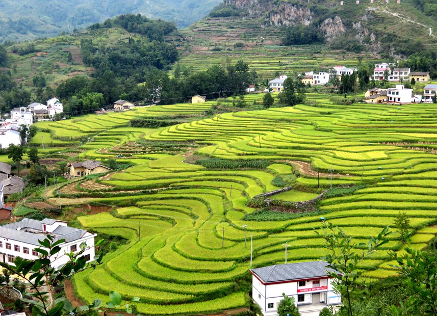 西北行.jpg