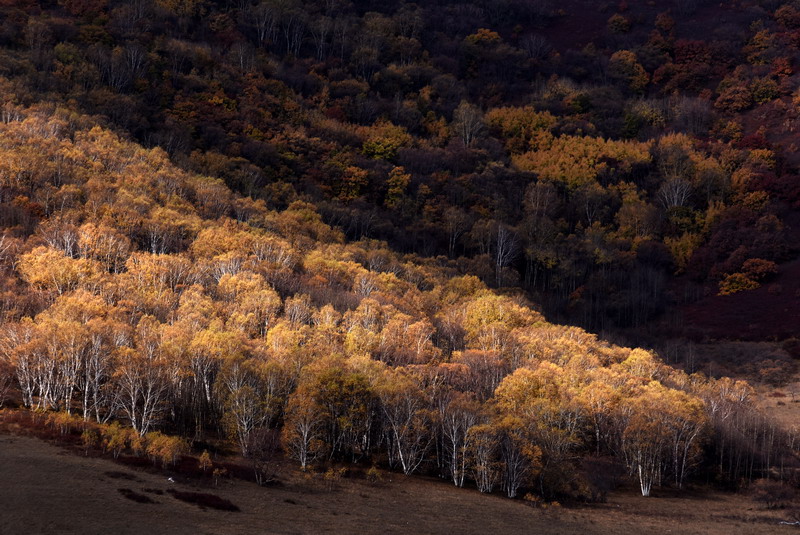 dsc_1017.jpg