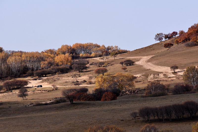 dsc_1027.jpg