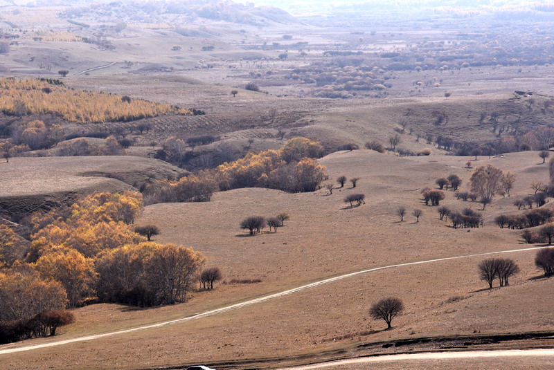 dsc_1085.jpg