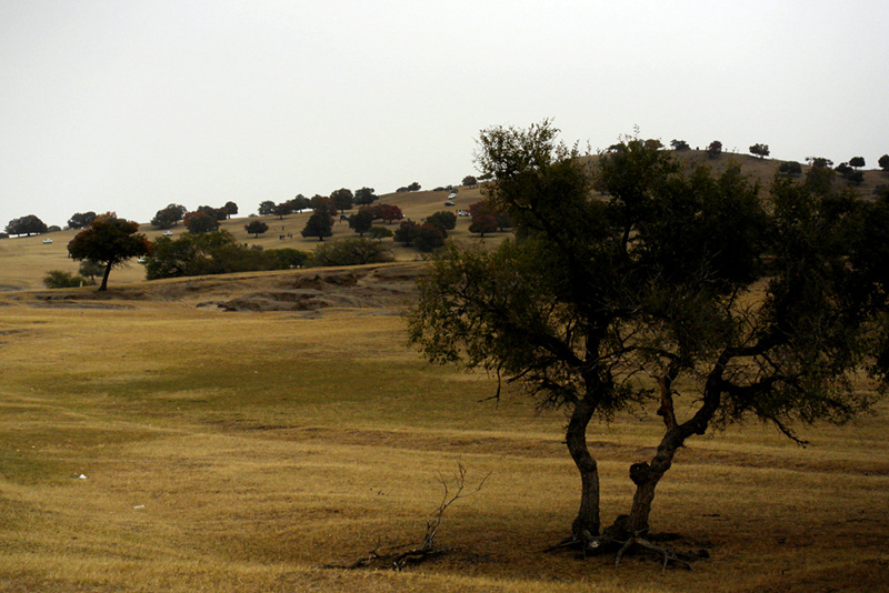 _sam0254_.jpg