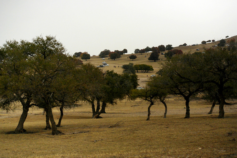 _sam0262_.jpg