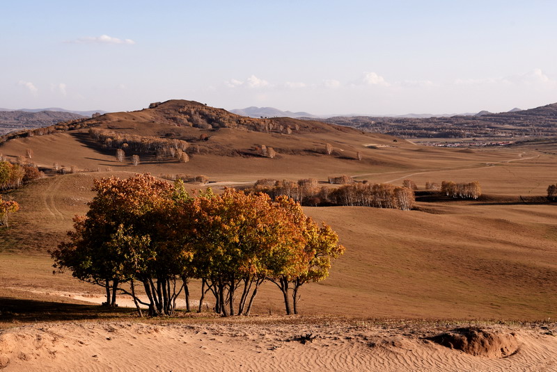 dsc_1254.jpg