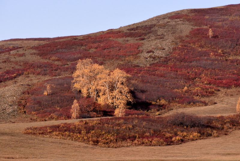 dsc_1332.jpg