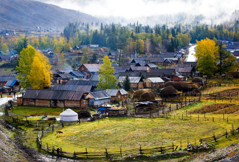 w50a3317_СС.jpg