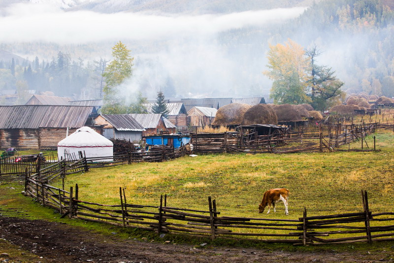w50a3276_СС.jpg