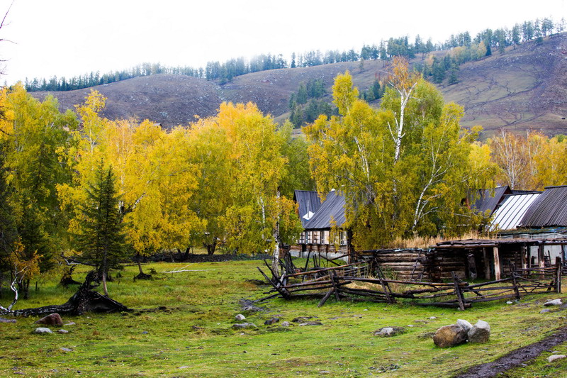 w50a3364_СС.jpg