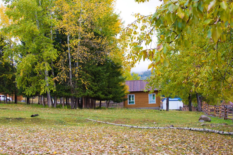 w50a3386_СС.jpg