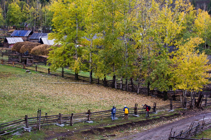 w50a3412_СС.jpg