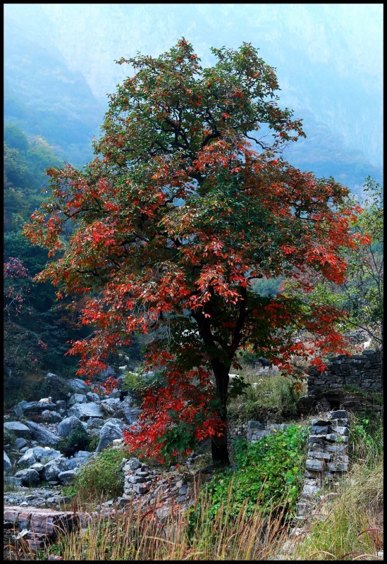 conew_ 204_conew1.jpg