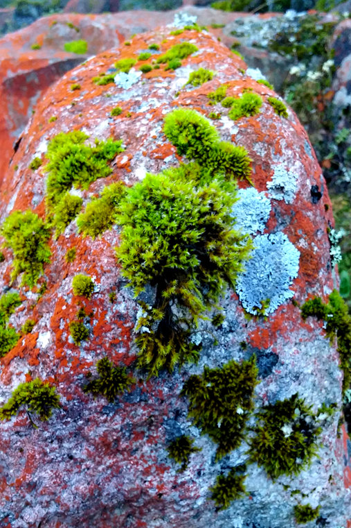20150927_183349_.jpg