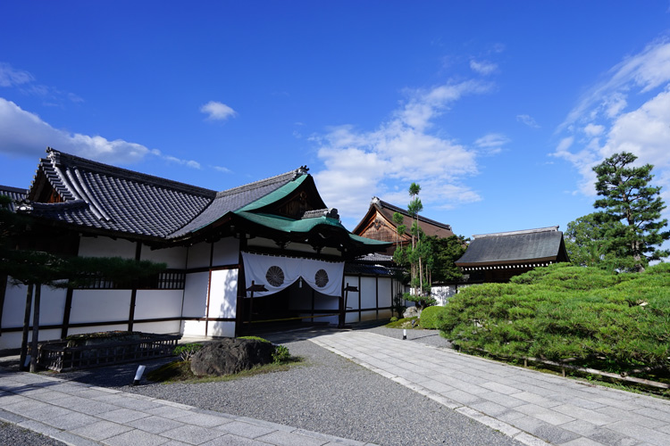 dsc01352.jpg