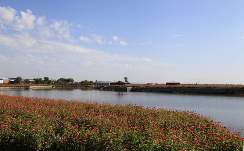 _mg_6510.jpg