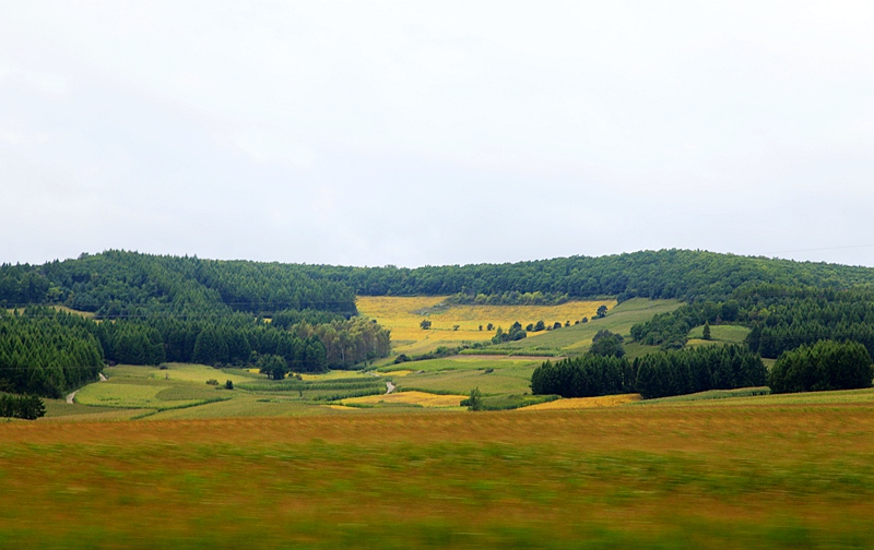 _mg_6853.jpg