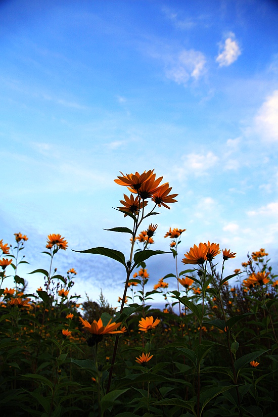 _mg_6968.jpg