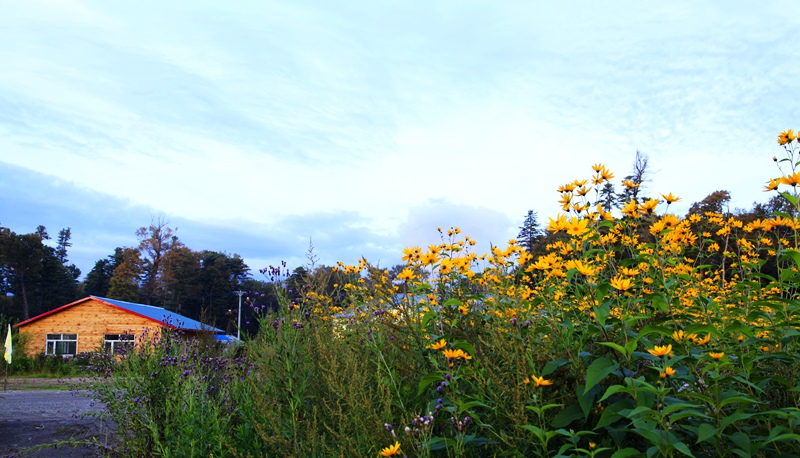 _mg_6964.jpg
