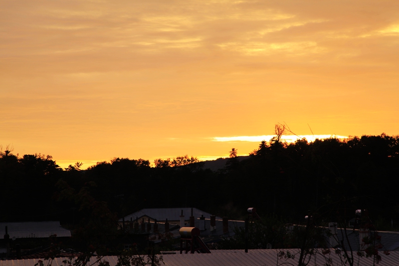 _mg_6994.jpg