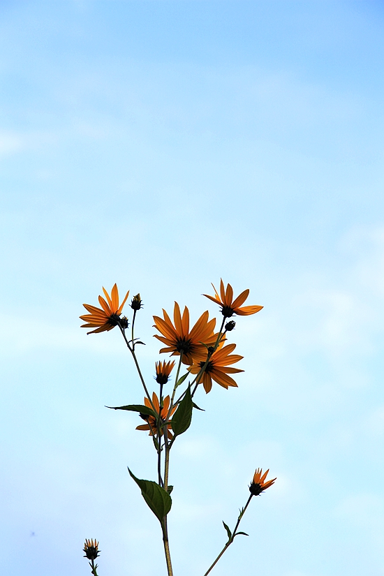 _mg_6970.jpg