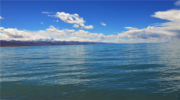dsc_8760_副本.jpg