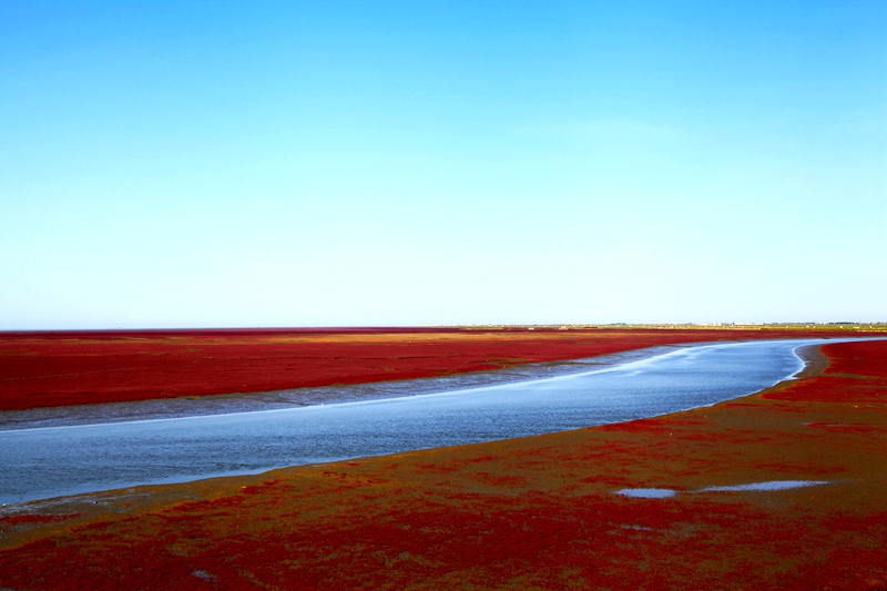 _mg_7478.jpg