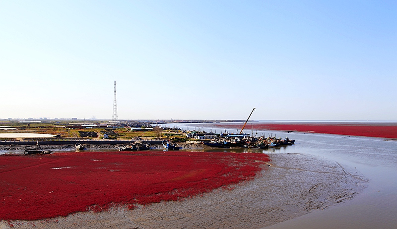 _mg_7472.jpg