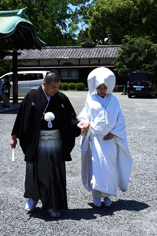 dsc09550.jpg