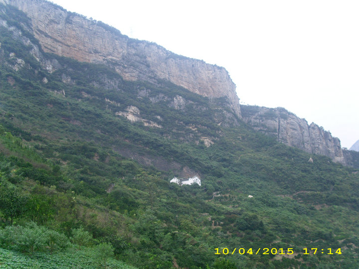 dsci9508.jpg