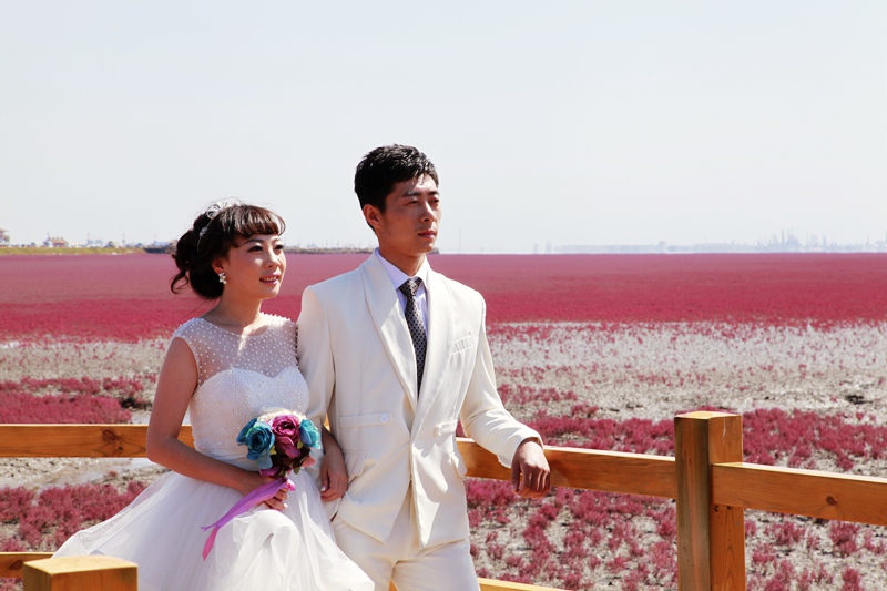 _mg_7717.jpg