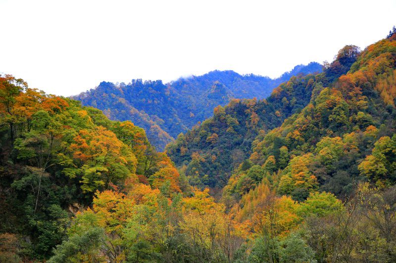 083a0272_dh.jpg