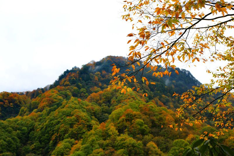 083a0287_dh.jpg