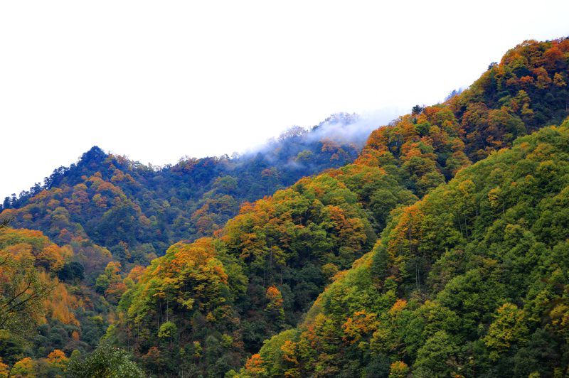 083a0290_dh.jpg